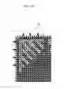Fig. 11 - Liquid crystal display device comprising a pixel electrode having a gap disposed between a fine branch portion and an outer portion of the pixel electrode