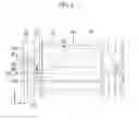 Fig. 07 - Liquid crystal display