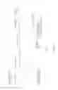 Fig. 06 - IMAGE FORMING APPARATUS