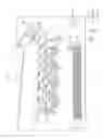 Fig. 02 - Fixing device having heating section support with hole for releasing heat