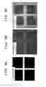 Fig. 06 - Image forming apparatus that adjusts maximum density