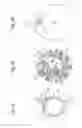 Fig. 10 - Coupling mechanism for date display discs