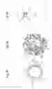 Fig. 15 - Coupling mechanism for date display discs