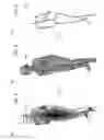 Fig. 04 - User-input control device toggled motion tracking