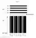 Fig. 07 - TOUCH INPUT DEVICE