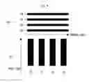Fig. 10 - TOUCH INPUT DEVICE