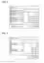 Fig. 08 - Display device and display method