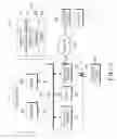 Fig. 09 - METHOD OF CONTROLLING USER INPUT AND APPARATUS TO WHICH THE METHOD IS APPLIED