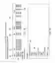 Fig. 17 - Interactive presentation system