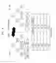 Fig. 05 - Apparatus and method for managing buffer having three states on the basis of flash memory