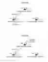 Fig. 10 - Terminal apparatus, information processing system, and output method