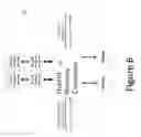 Fig. 07 - Hybrid memory blade