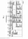 Fig. 03 - Information providing server and method of controlling information providing server