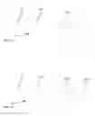 Fig. 09 - Method and apparatus for searching images