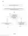 Fig. 07 - Runtime tuple attribute compression