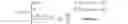 Fig. 02 - Eye tracking