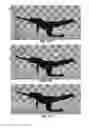 Fig. 14 - Extraction of user behavior from depth images