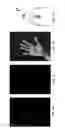 Fig. 07 - Biometric recognition