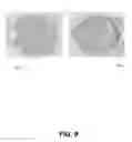 Fig. 10 - System and method for authentication