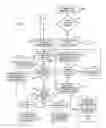 Fig. 05 - DYNAMIC ROUTING OF CUSTOMER TELEPHONE CONTACTS IN REAL TIME
