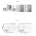 Fig. 05 - Image processing method and apparatus for tracking a site in a series of images