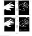 Fig. 09 - Systems and methods for dynamic registration of multimodal images