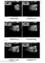 Fig. 08 - 3D IMAGE GENERATION