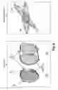 Fig. 10 - 3D object segmentation