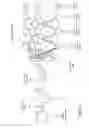 Fig. 02 - Graph image representation from convolutional neural networks
