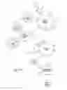 Fig. 30 - Methods and apparatus for data visualization of hierarchical data structures