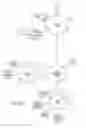 Fig. 31 - Methods and apparatus for data visualization of hierarchical data structures
