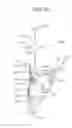 Fig. 20 - Product discharging device