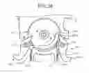 Fig. 34 - Product discharging device