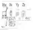 Fig. 05 - ALPHABET TEACHING AID