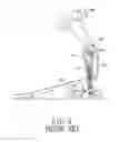 Fig. 10 - Drum pedal and drum pedal unit
