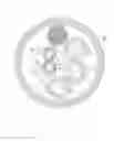 Fig. 08 - METAL SHEATHED CABLE WITH JACKETED, CABLED CONDUCTOR SUBASSEMBLY