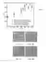 Fig. 09 - Bulk nanocomposite magnets and methods of making bulk nanocomposite magnets