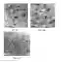 Fig. 12 - Bulk nanocomposite magnets and methods of making bulk nanocomposite magnets