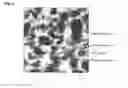 Fig. 05 - Multi-block sputtering target and associated methods and articles