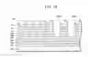 Fig. 20 - Stacked multilayer structure and manufacturing method thereof