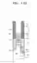 Fig. 46 - Semiconductor devices including spacers