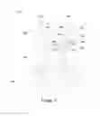 Fig. 15 - Bonded 3D integrated circuit (3DIC) structure