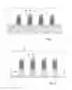 Fig. 02 - Performance optimized gate structures having memory device and logic device, the memory device with silicided source/drain regions that are raised with respect to silicided source/drain regions of the logic device