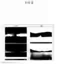 Fig. 09 - Electrode pair, method for fabricating the same, substrate for device, and device