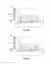 Fig. 07 - Light emitting device with reflective electrode