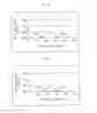 Fig. 05 - ORGANIC LIGHT EMITTING DIODE DISPLAY DEVICE
