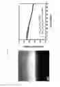 Fig. 10 - Cathode material for lithium secondary battery, and lithium secondary battery containing same