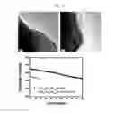 Fig. 11 - Cathode material for lithium secondary battery, and lithium secondary battery containing same