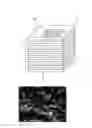 Fig. 05 - SOLID OXIDE FUEL CELL STACK AND MANUFACTURING METHOD THEREFOR