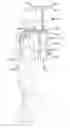 Fig. 01 - Collapsible portable antenna